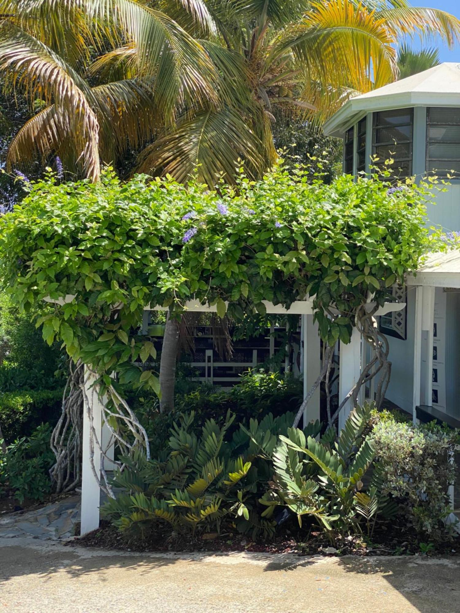 Club Seabourne Hotel Isla Culebra Eksteriør billede